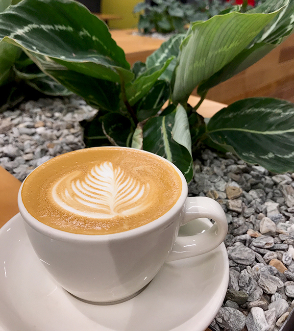 coffee.jpg